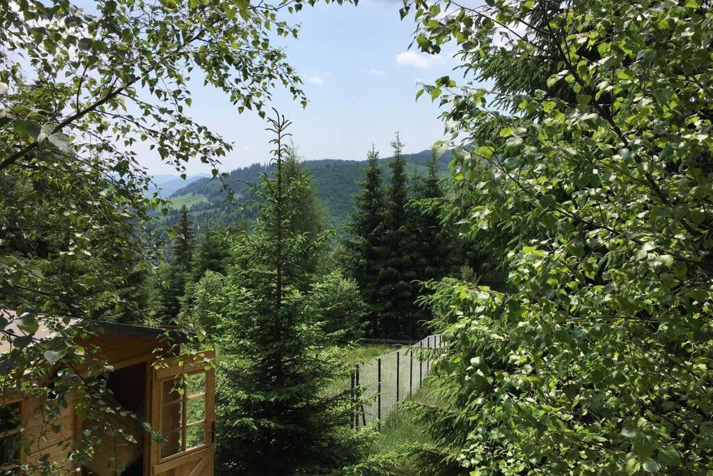 Mountain Chalet - Cabana La Muntele Baisorii Muntele Cacovei  ภายนอก รูปภาพ