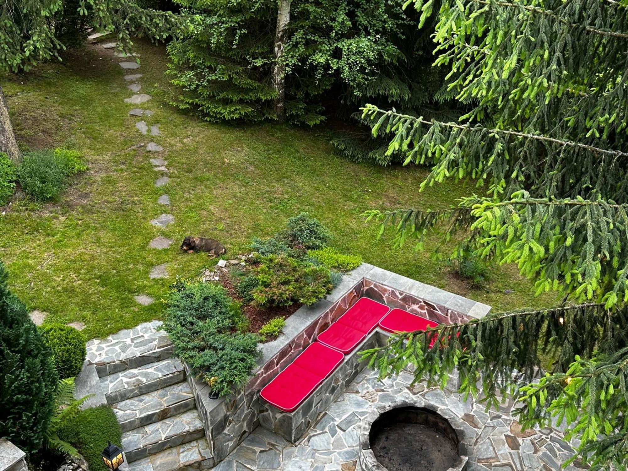 Mountain Chalet - Cabana La Muntele Baisorii Muntele Cacovei  ภายนอก รูปภาพ